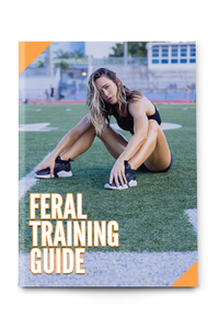 Feral Training Guide: ENGLISH